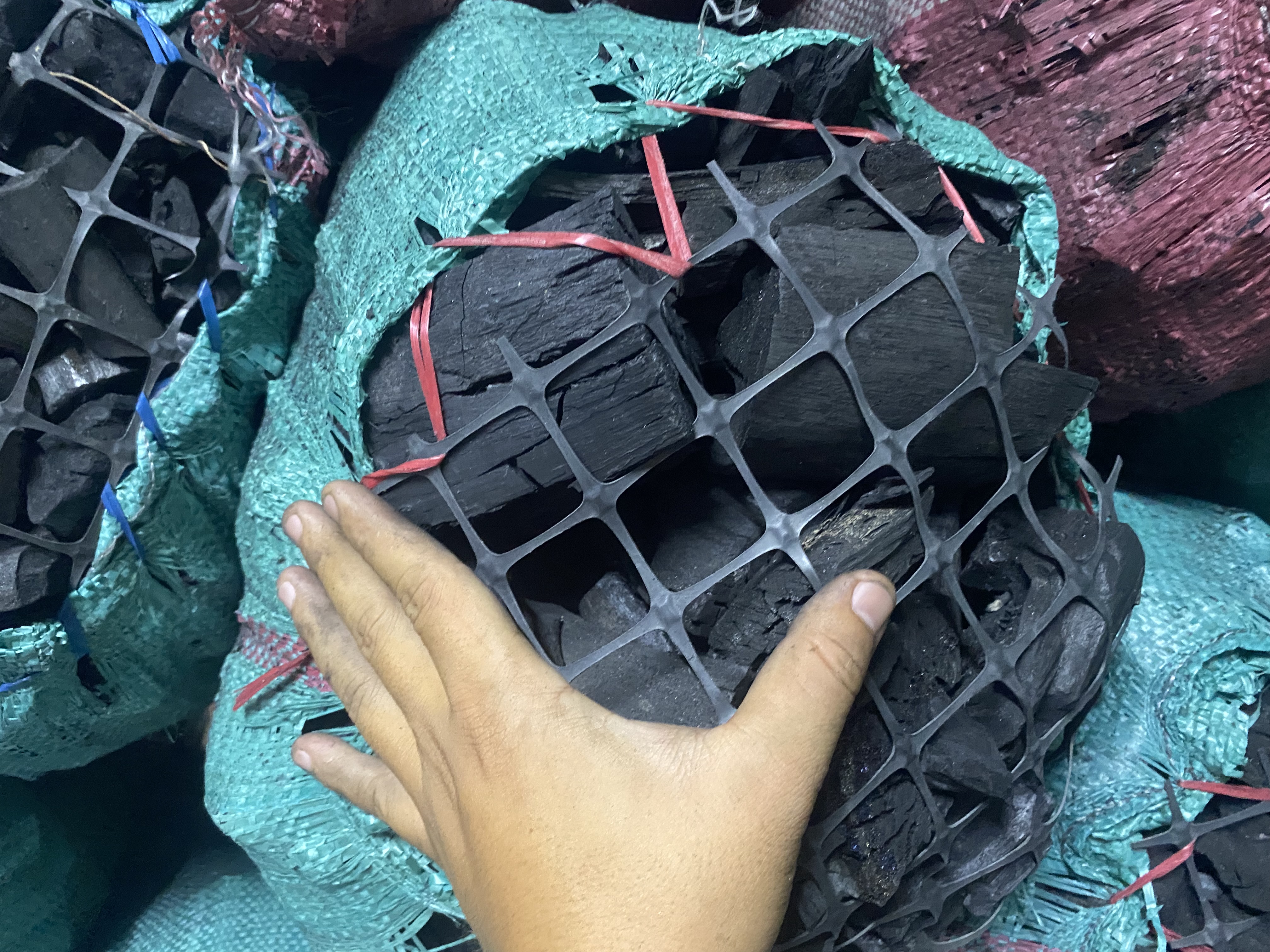 Củi Tràm Bông Vàng